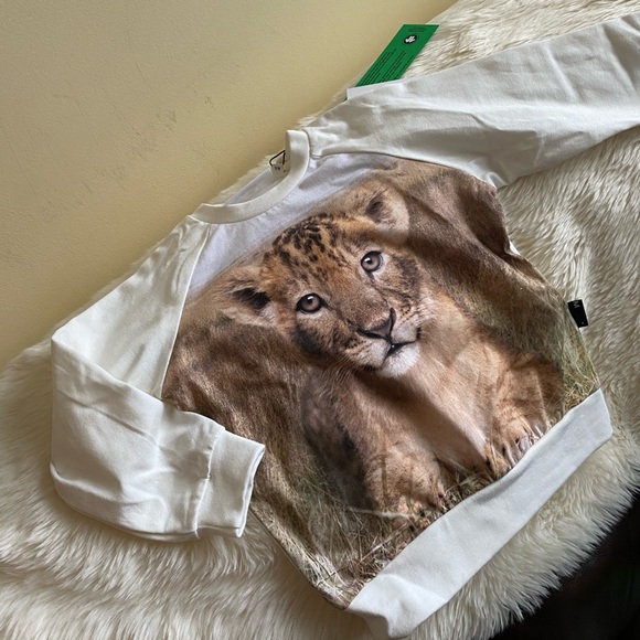 Molo Other - Molo Boy's Esco Lion Cub Graphic Sweatshirt Size 18M Cream, tan, brown